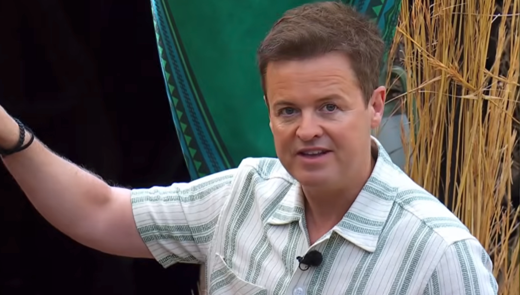 Dec on I'm A Celebrity