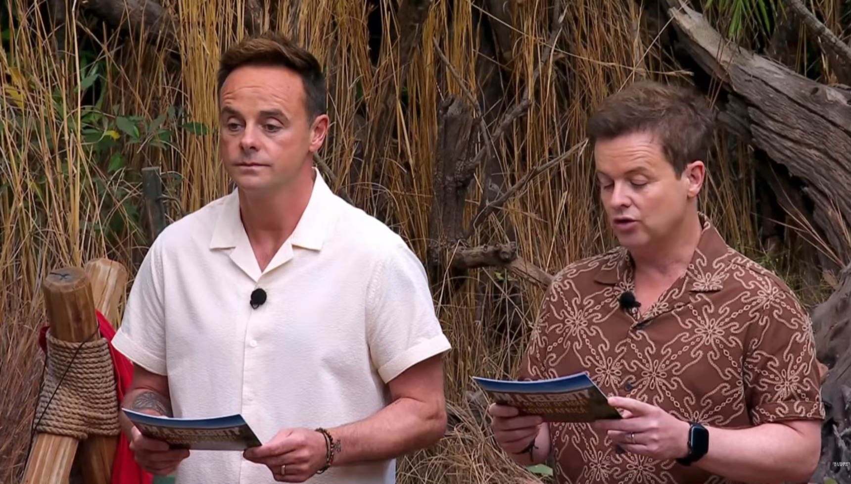 Ant and Dec on I'm A Celebrity