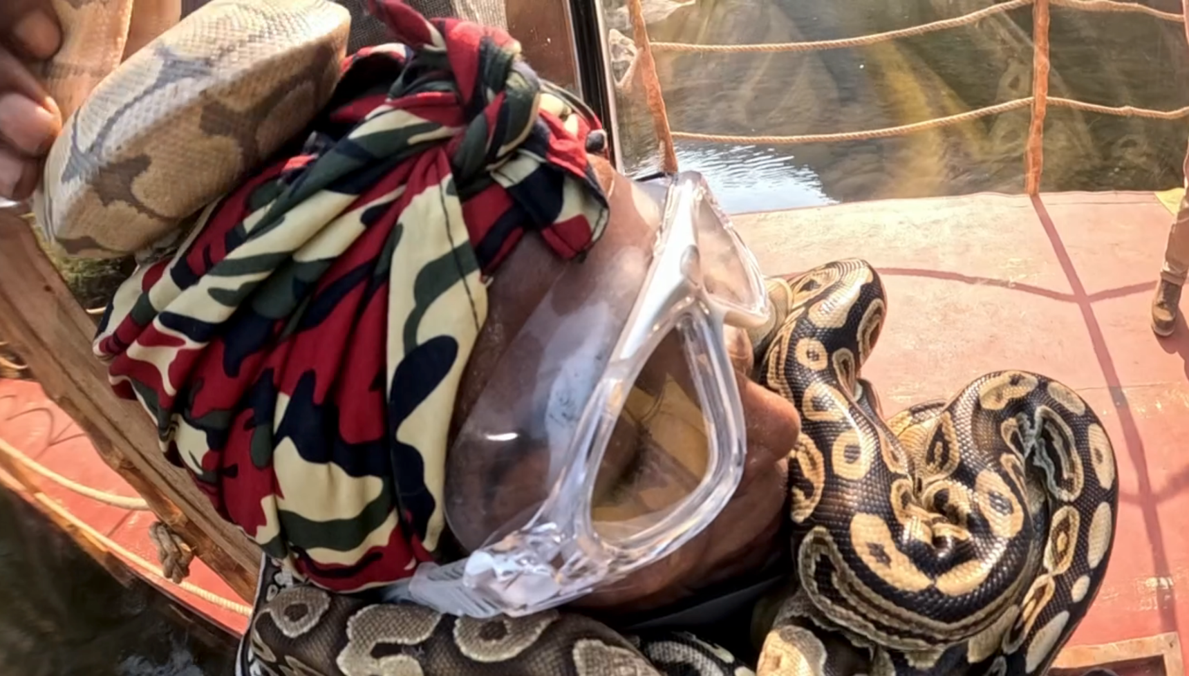 Sinitta surrounded by snakes on I'm A Celebrity South Africa