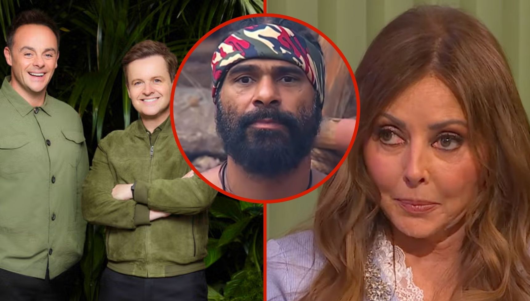 Every single star who’s hit out at David Haye’s behaviour on I’m A Celebrity, from Ant and Dec to Carol Vorderman