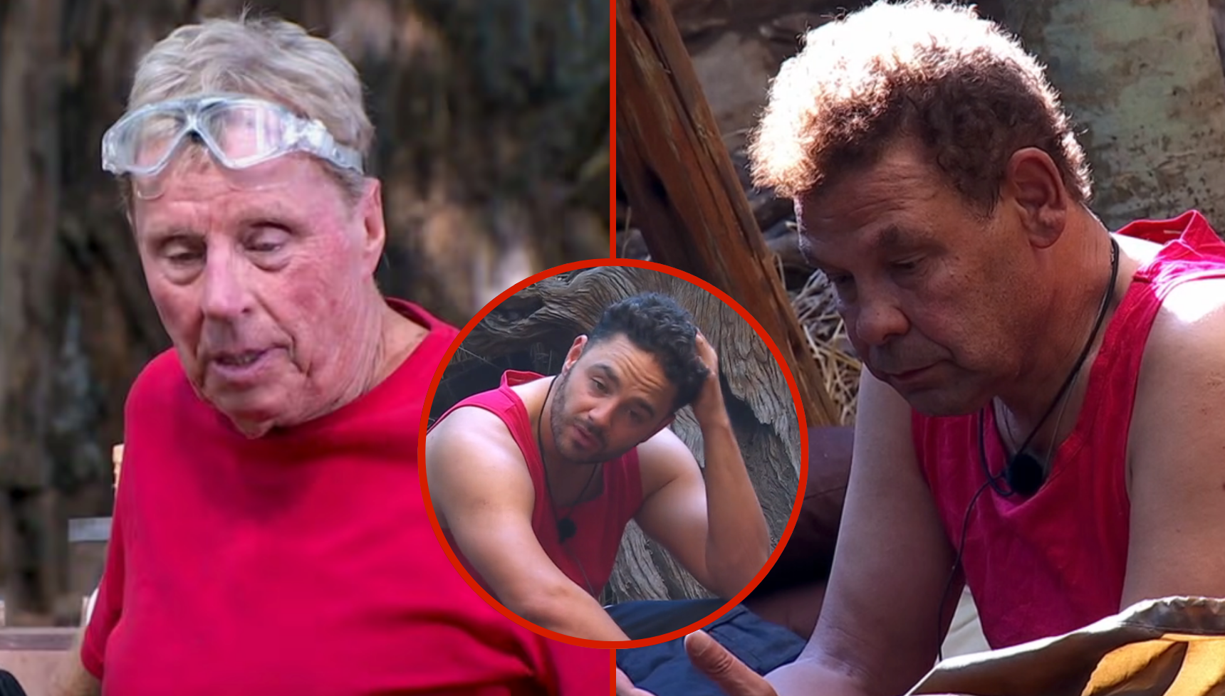 I’m A Celebrity viewers 'disappointed' with Harry Redknapp and Craig Charles over their treatment of Adam Thomas