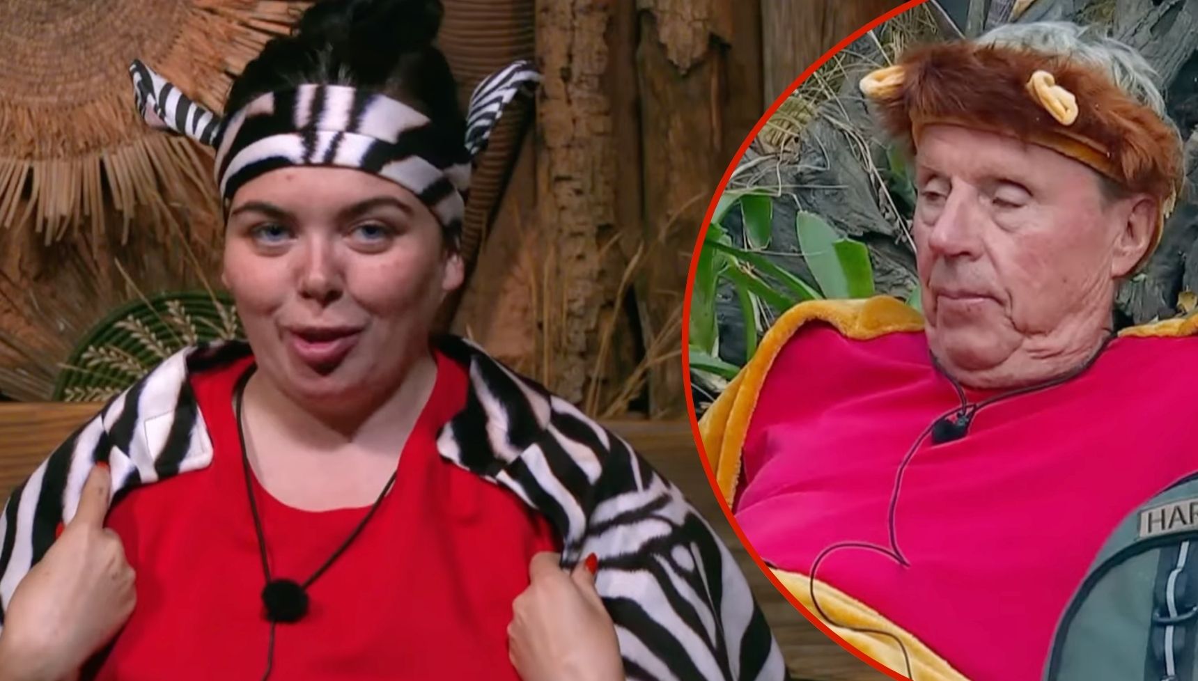 I’m A Celebrity viewers flood ITV with complaints after spotting unforgivable Celebrity Cyclone blunder