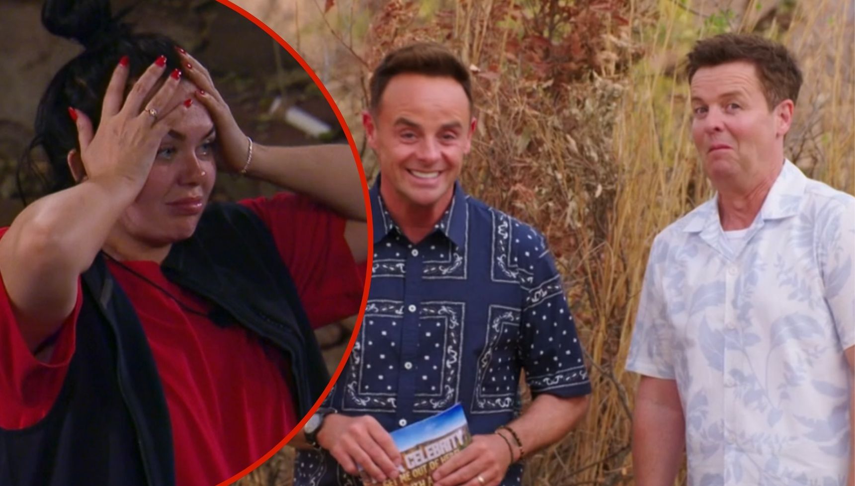 'Axe this format immediately!' I’m A Celebrity viewers slam ITV for ‘ripping off’ The Traitors