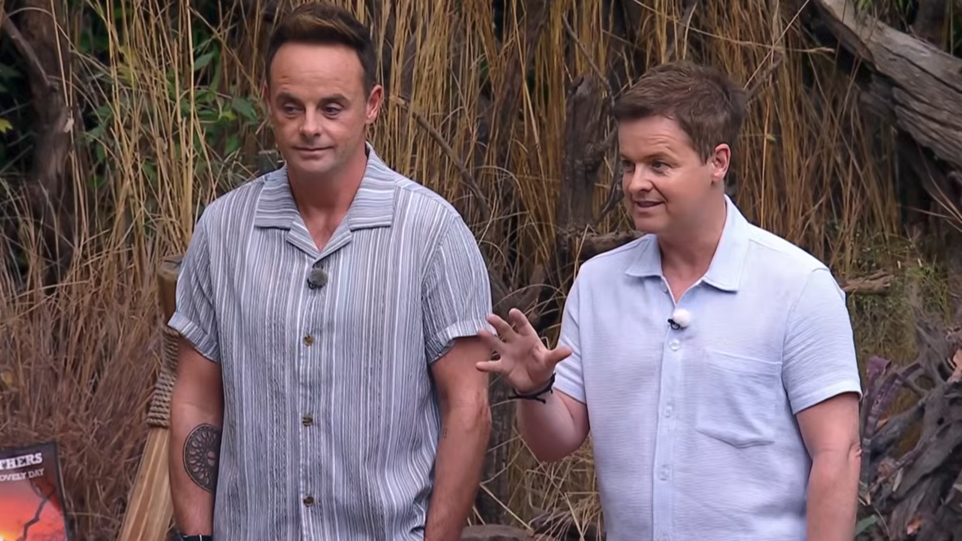 Ant and Dec on I'm A Celebrity