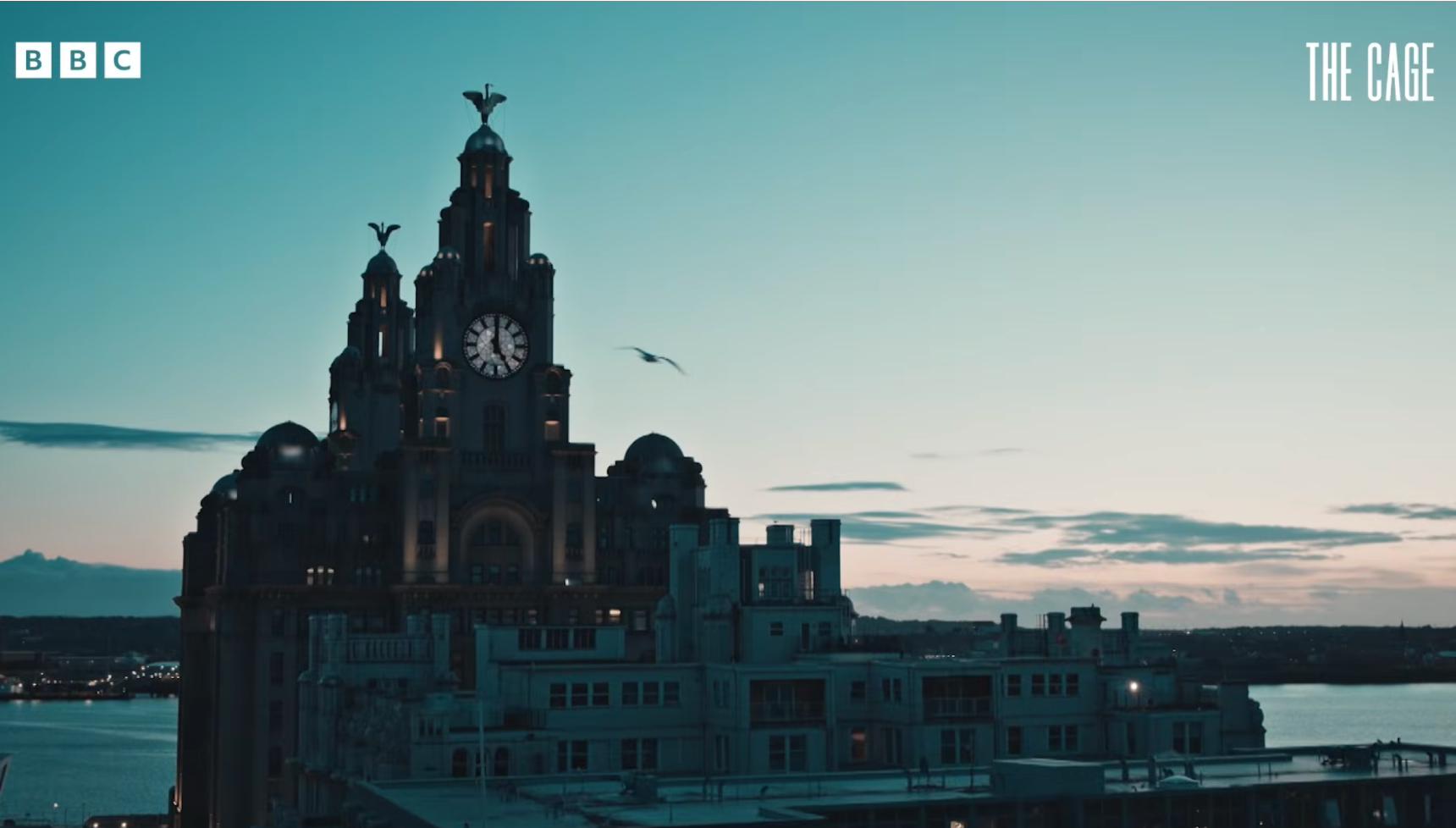 The iconic Royal Liver Building in Liverpool as featured in The Cage