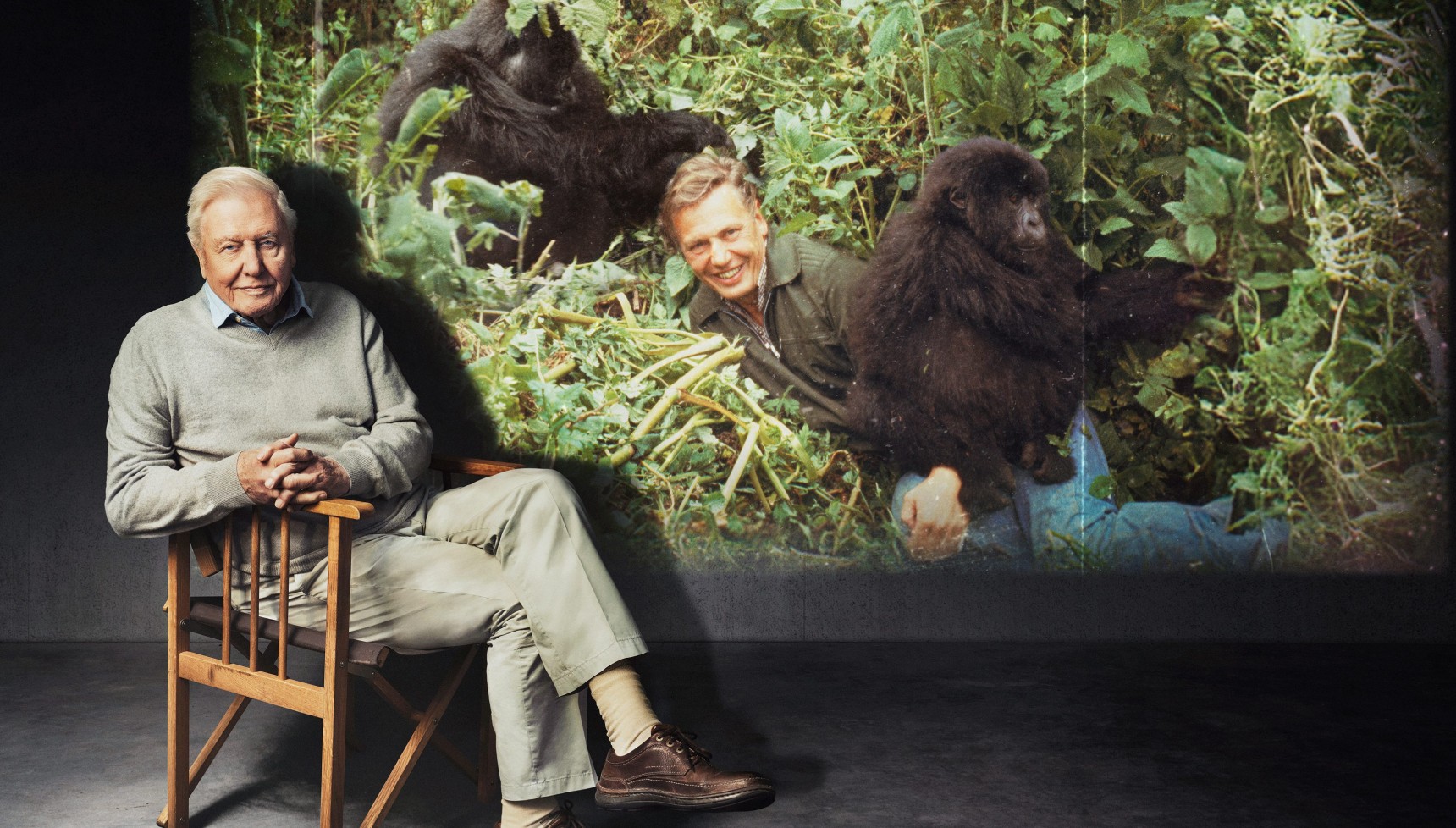 David Attenborough sitting on a chair next to a screenshot of him in a documentary