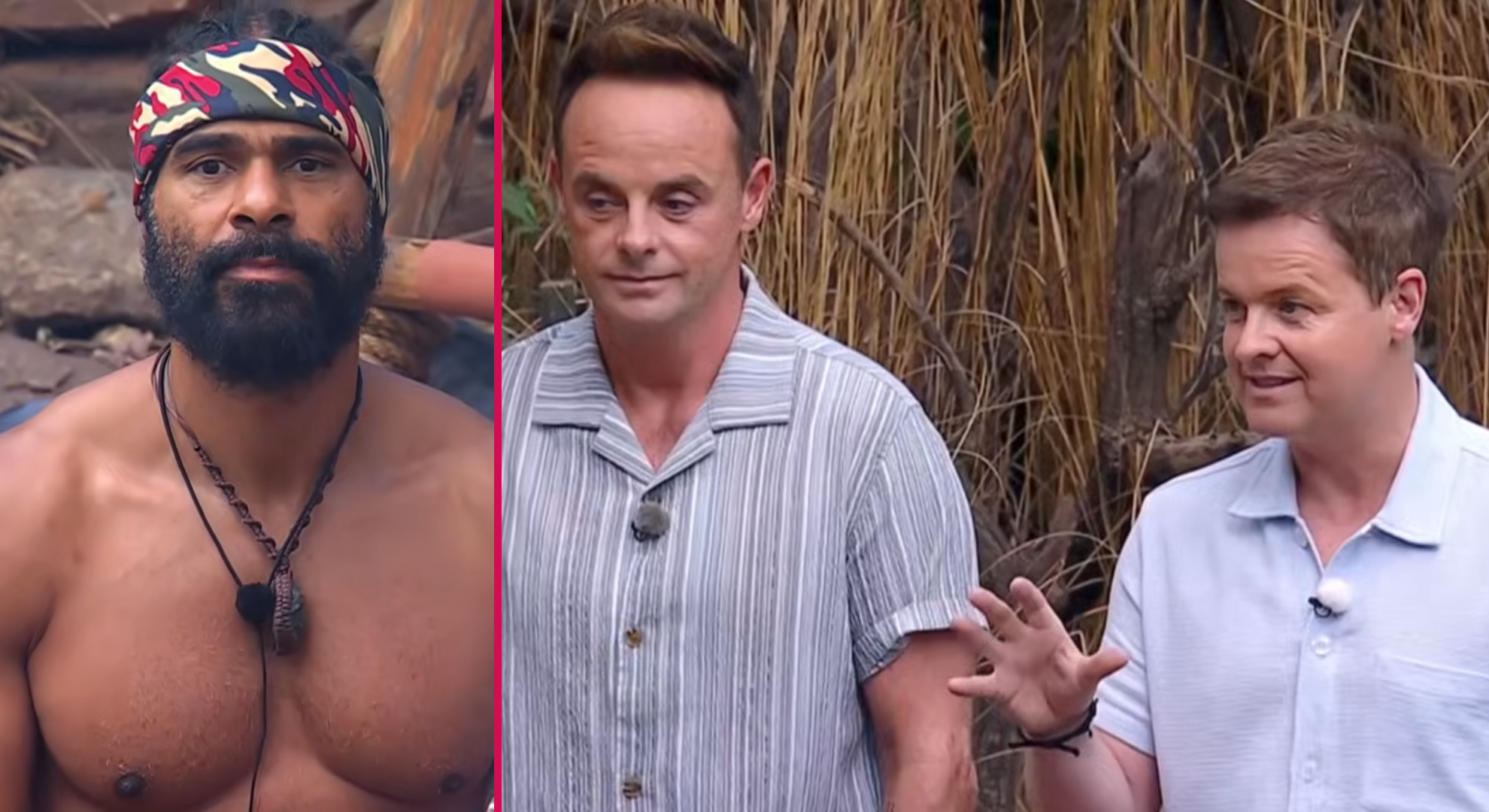 'It's crossed a line': Ant and Dec blast David Haye's behaviour and declare it's 'uncomfortable to watch'