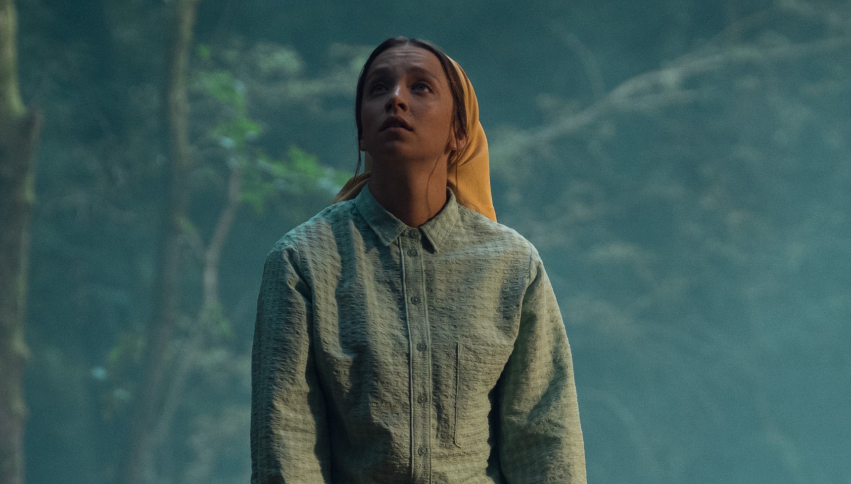 Rosie standing in the woods