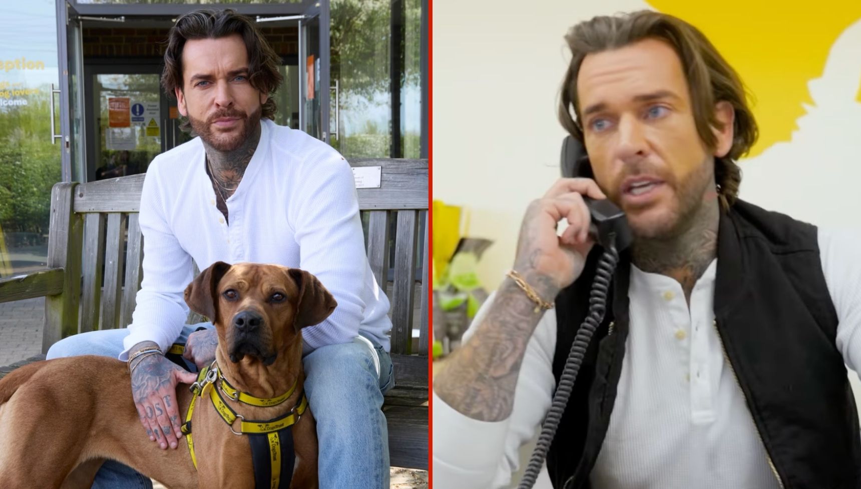Pete Wicks: For Dogs' Sake is back for a new series on U&W and it has a huge overseas twist