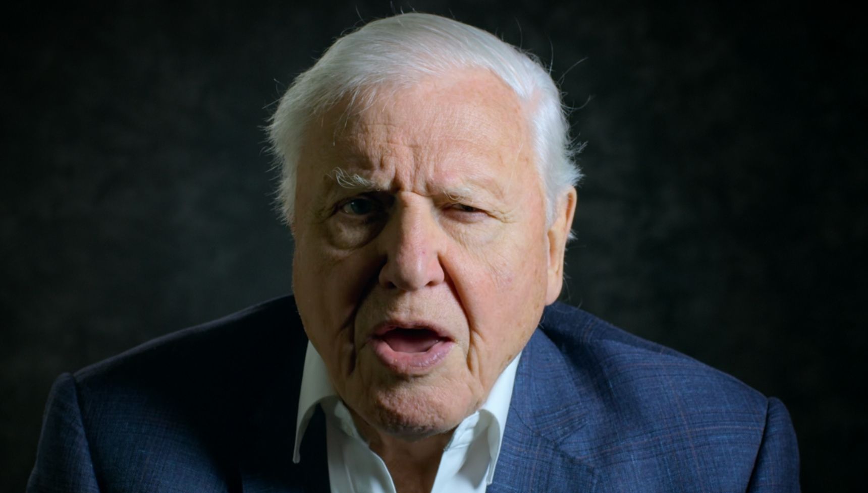 David Attenborough on Netflix show 