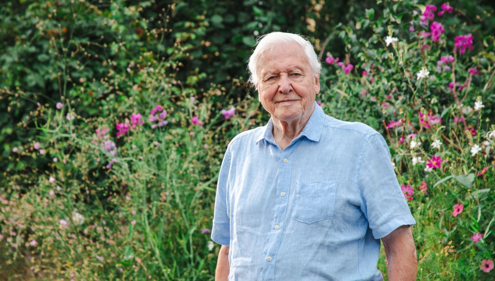 David Attenborough on Secret Garden