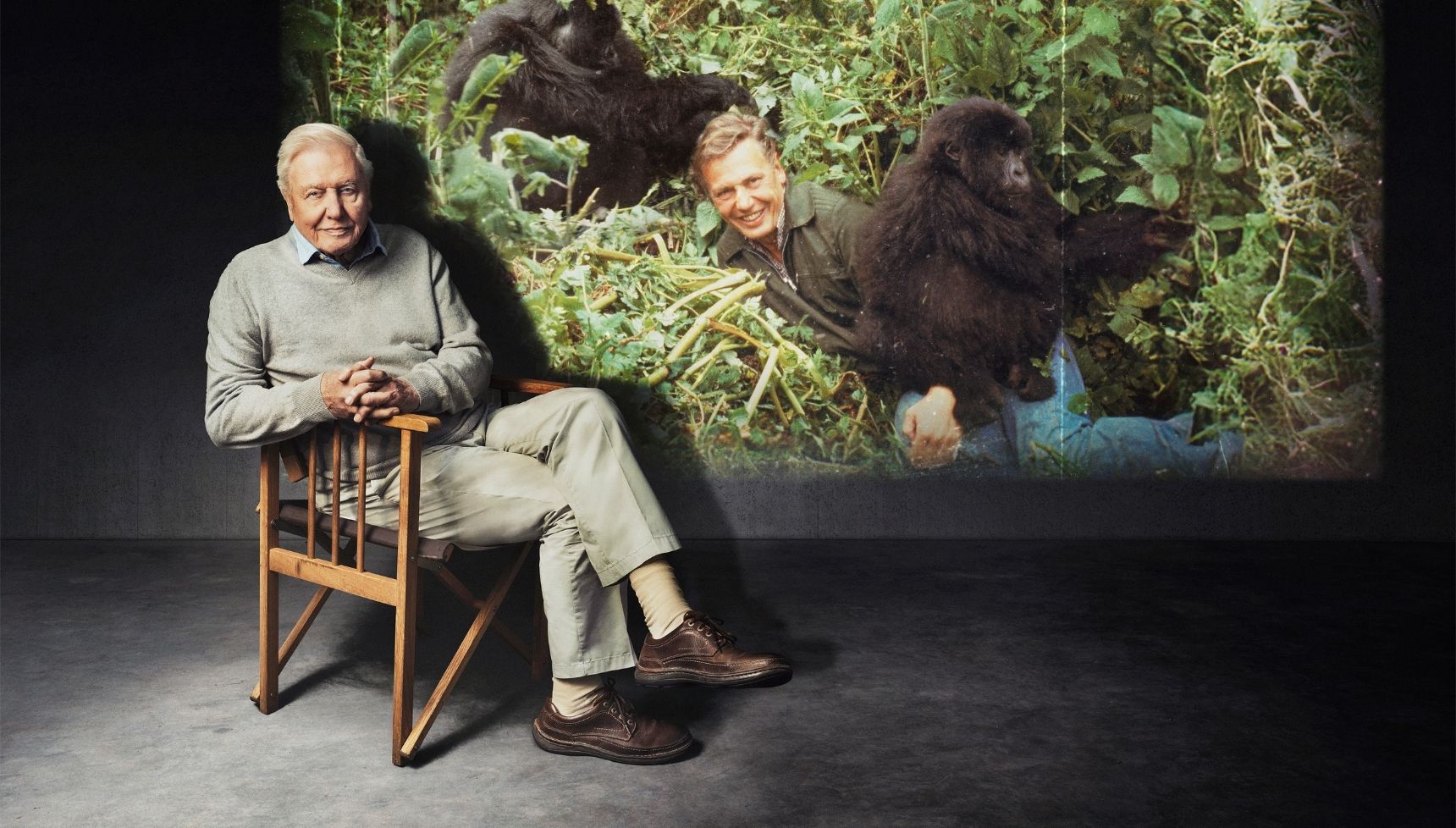 David Attenborough BBC documentary