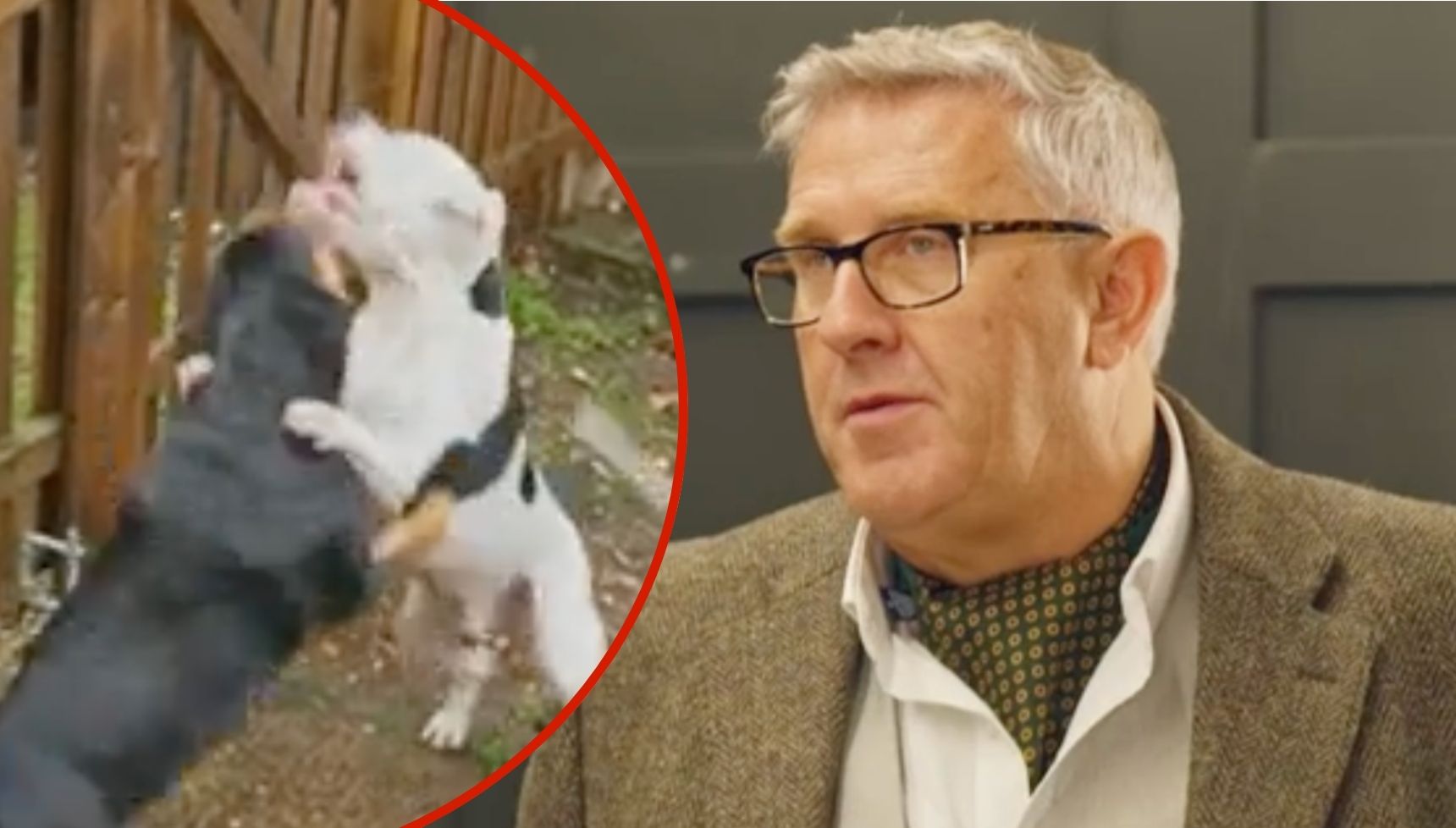 Dogs Behaving (Very) Badly's Graeme Hall faced with two very 'scary' dogs in tonight's episode of Channel 5 show: 'I've got a lot on my plate'