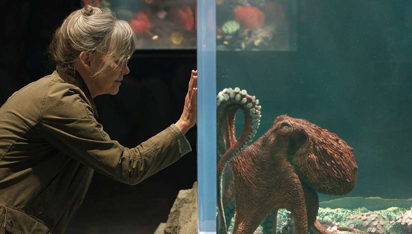 Sally Field and an octopus in Remarkably Bright Creatures