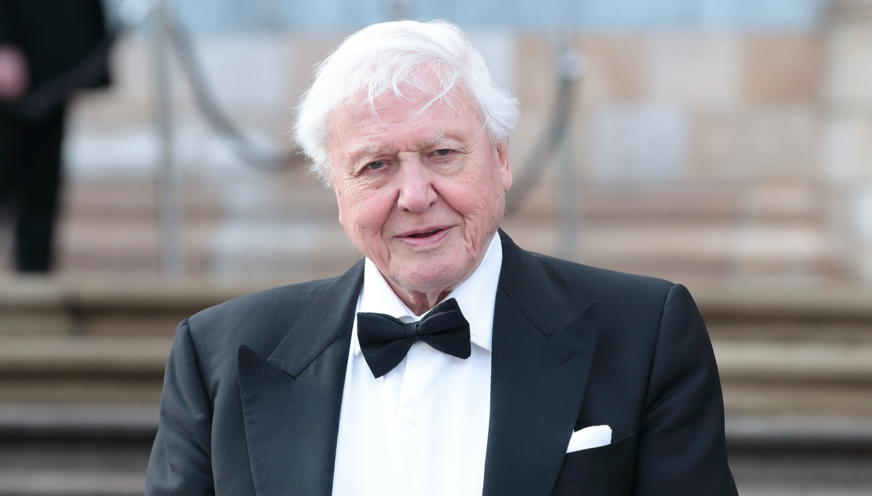 Sir David Attenborough wins best presenter at NTAs as he beats Ant and Dec