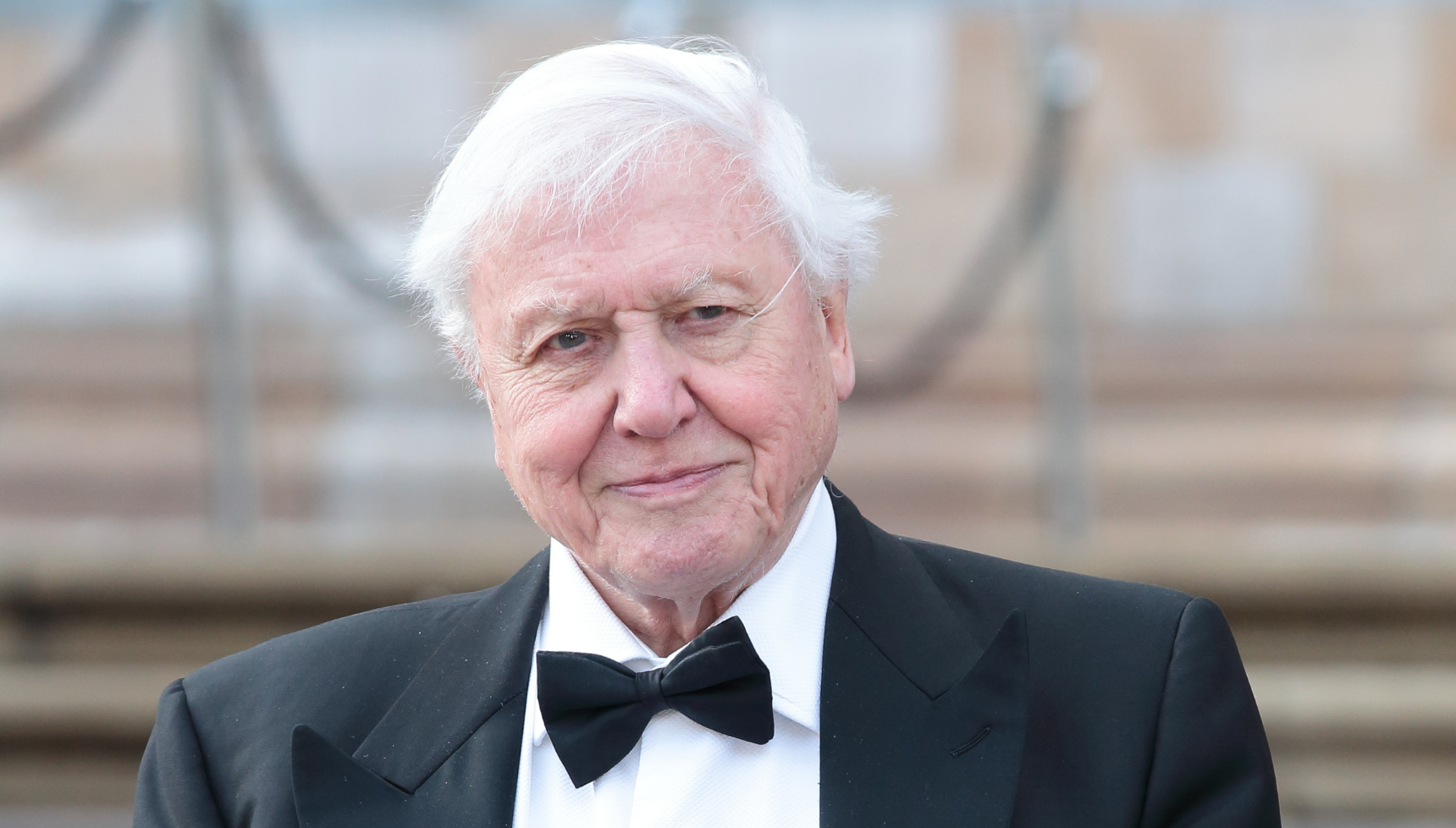 David Attenborough wears a tux
