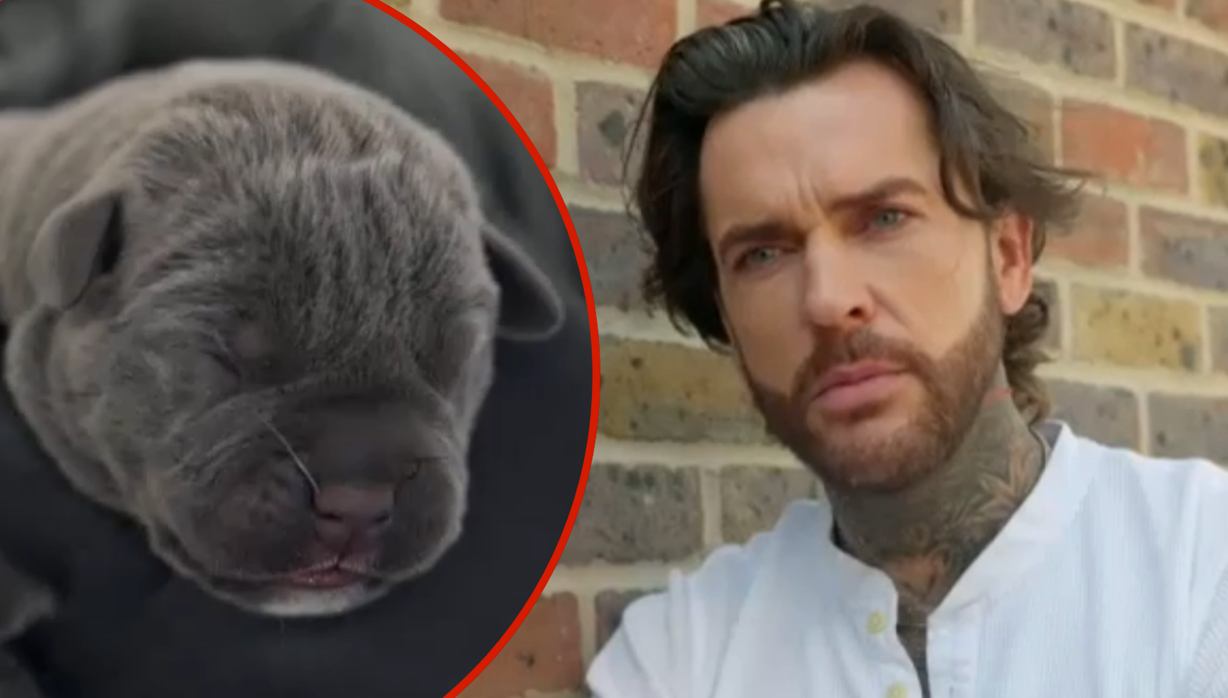Pete Wicks: For Dogs' Sake returns tonight for new series and Pete is already in tears
